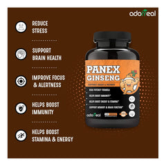 Adorreal Panex Ginseng High Potency Formula, Supports Brain & Memory, Boosts Immunity & Energy | 120 Capsules 150gm 0.3lbs