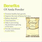 Indiana Amla Indian Gooseberry Powder For Hair And Skin, Amla Fruits Organically Grown In Select Indian Farmers | 100gm 0.2lbs