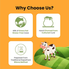 Pure Desi Cow Ghee By Old Vaishali Dairy | Natural & Healthy Indian Gir Cow Ghee Good For Roast Makhana | (500ml) 16.9 Ounce | Jar Pack