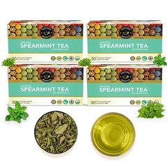 Teacurry Plant Based Spearmint Leaf Tea Bag - Pack Of 4 X 60gm, 2.1 Ounce Each, 120 Pyramid Tea Bags | Helps With Hormonal Imbalance, Facial Hair & PCOS - Caffeine Free, Gluten Free