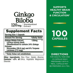 Nature's Bounty Ginkgo Biloba 120mg, Help Maintain Healthy Circulation, Supports Healthy Brain Function | 100 Capsules 100gm 0.2lbs