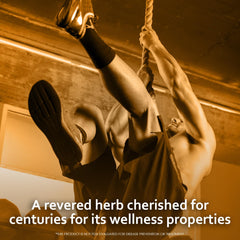 Instant Veda Pure Extract Ashwagandha Capsules For Men & Women For Energy Strength & Stress Relief | 60 Veg Capsules 100gm 0.2lbs