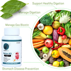 Element One Betaine Hcl With Pepsin Stomach Acid Balance & Digestive Enzymes Health Support Acidity, Indigestion, Gut Health Support, Nutrient Absorption | 60 Tablet 100gm 0.2lbs