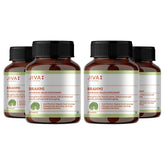 Jiva Brahmi 500mg 100% Ayurvedic Formulation Rejuvenates Nervous System, Reduces Stress, Anxiety & Slows Down Aging | 60 Tablets 100gm 0.2lbs Each Pack Of 4