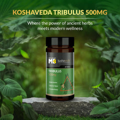 Muscleblaze Koshaveda Tribulus 500mg Ayurveda For Performance, Help Boost Your Athletic Performance | 60 Tablets 100gm 0.2lbs