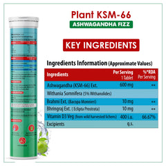 Naturyz Highest Strength 100% Plant Extracted Ksm - 66 Ashwagandha 600mg, Vitamin D3, Muscle Recovery, Energy, Relieve Stress | 15 Effervescent Tablets Green Apple 50gm 0.1lbs