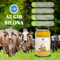Premium A2 Gir Cow Bilona Ghee By Morning Wale | Vedic Bilona Traditional Curd Churned Desi Cow Ghee Perfect For Bones Health | ( 1 Litre) 33.8 Ounce | Jar Pack