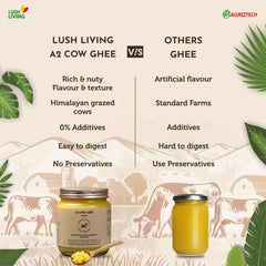 100% Natural A2 Cow Ghee By Lush Living | Rich In Protein Fiber & Delicious Healthy Desi Cow Ghee For Overall Health | 1 Litre (500ml * 2) 33.8 Ounce | Jar Pack