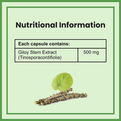 Ambrosial Giloy (Guduchi) High Strength 500mg Natural Giloy Extract Strengths Immune System & Antioxidant Health, Supports Overall Wellness | 60 Capsules 100gm 0.2lbs