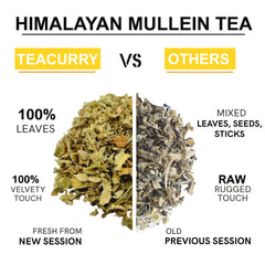 Teacurry Plant Based Himalayan Mullein Tea - 30 Individually Wrapped Pyramid Teabags | Herbal Tea For Lung Detox & Immunity - Full Of Antioxidants