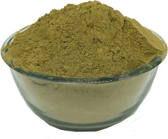 Just Jaivik Organic Aloe Vera Powder, Usda Organic Certified, 100% Organic | 227gm 0.5lbs