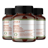 Jiva Arjuna Tablets Promotes Heart Health, Effective In Removing Blood Impurities, Provide Essential Nutrients To Nourish Heart | 60 Tablets 100gm 0.2lbs Each Pack Of 3