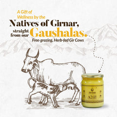 Natural A2 Cow Ghee By Girveda | Natural & Healthy Gir Cow Cultured Desi Ghee Perfect For Frying | (500ml) 16.9 Ounce | Jar Pack