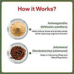 Mpil Ashwagandha Extract 350mg + Jatamansi Extract Helps In Stress Management, Improve Energy Boost Muscle Mass & Strength, Enhance Immunity Rejuvenates Mind & Body | 60 Capsules 100gm 0.2lbs