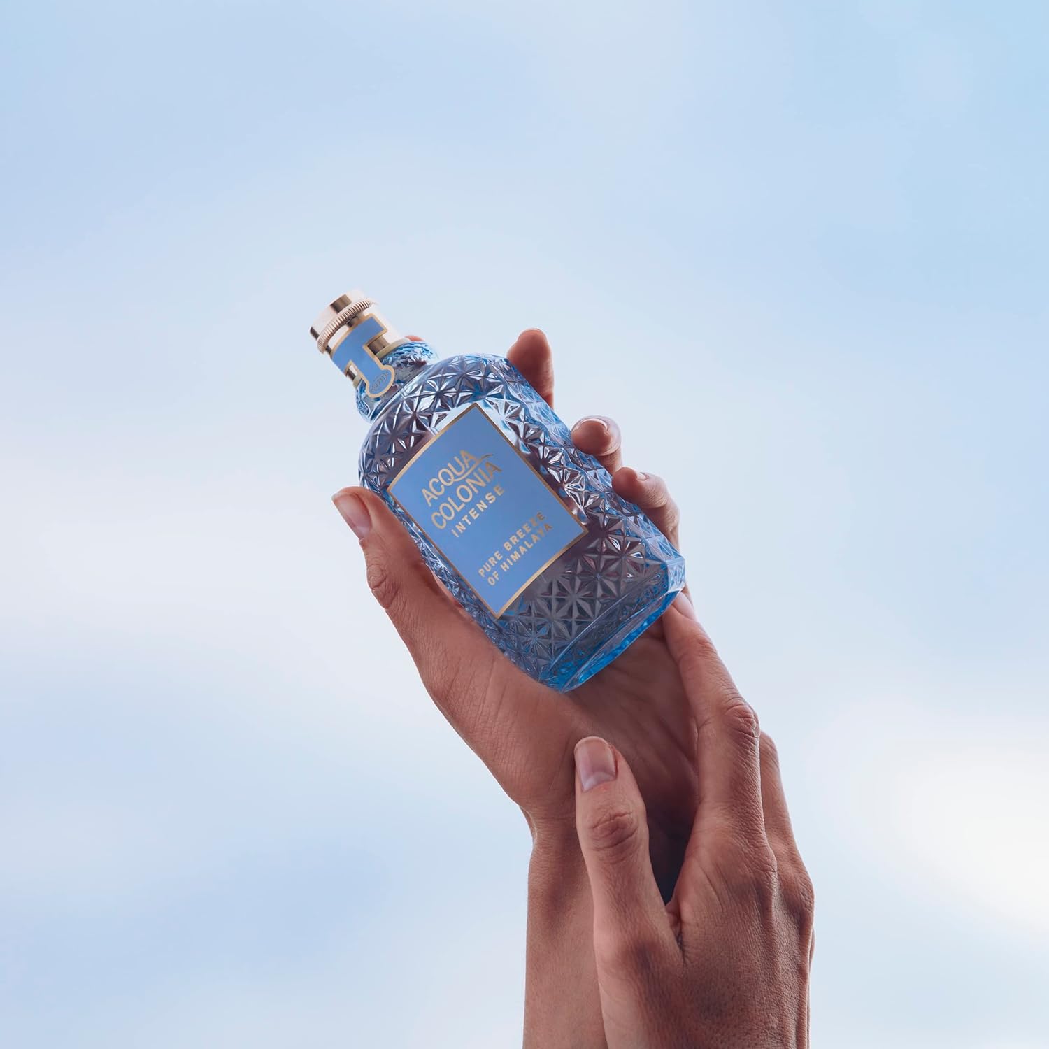 4711 Acqua Colonia Intense Pure Breeze Of Himalaya Eau De Cologne 50ml 1.6 Fl.oz. For Men & Women 4711 Acqua Colonia Intense Pure Breeze Of Himalaya Eau De Cologne 50ml 1.6 Fl.oz. For Men & Women