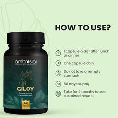 Ambrosial Giloy (Guduchi) High Strength 500mg Natural Giloy Extract Strengths Immune System & Antioxidant Health, Supports Overall Wellness | 60 Capsules 100gm 0.2lbs