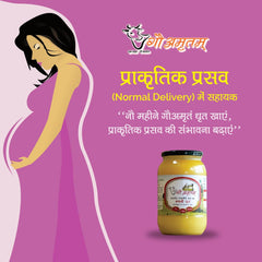 100% Natural Vedic Mathni Ghrit Desi Ghee By Gau Amritam | Pure Healthy Traditional Curd Churned Desi Cow Ghee For Laddus | 1.5 Litre (500ml * 3) 50.7 Ounce | Jar Pack