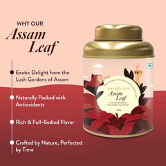 Saffron Cup Darjeeling Assam Leaf Black Tea - 200gm Tin, 7.05 Ounce | 100% Natural, Rich In Antioxidants - Promotes Heart Health & Supports Immune Function | Medium Caffeine