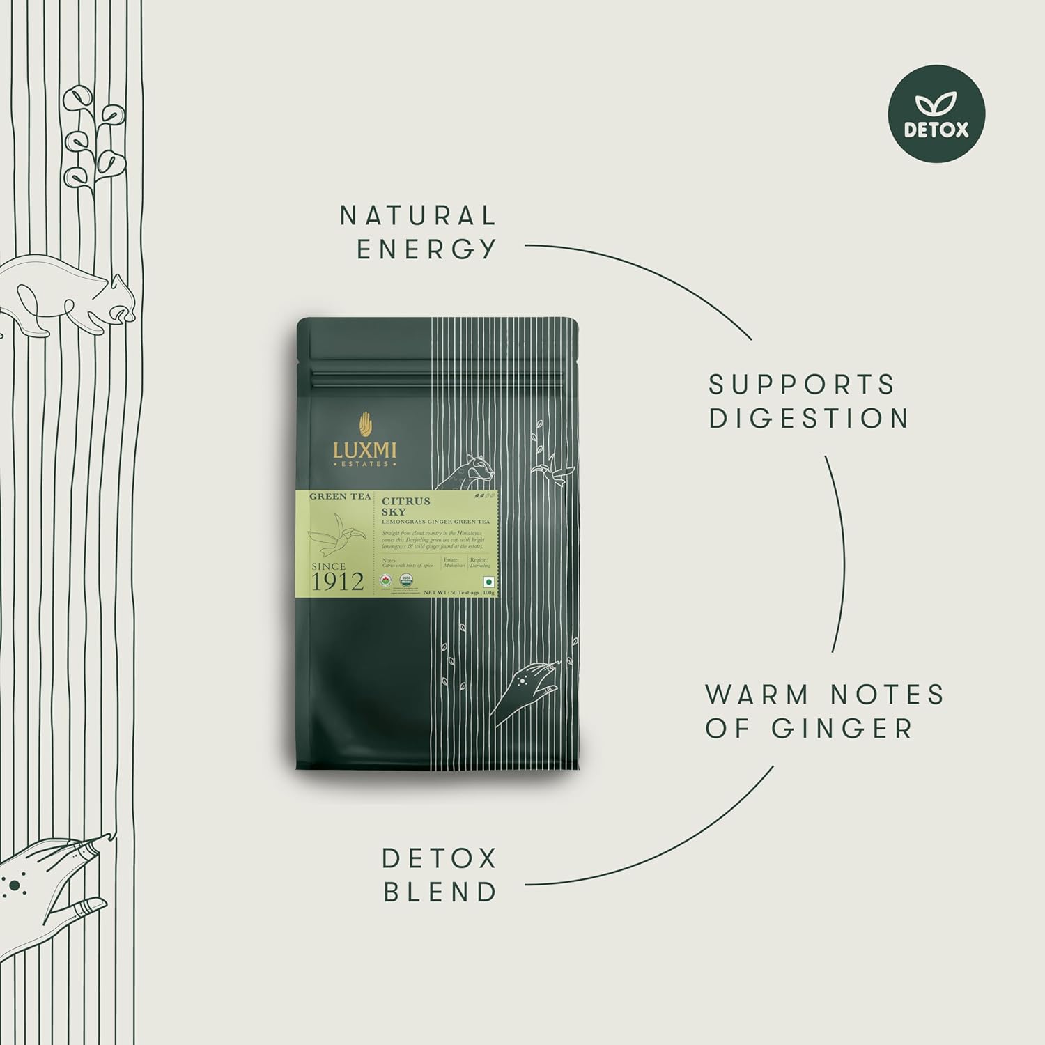 Luxmi Estates Citrus Sky Lemongrass Ginger Green Tea - 100gm, 3.5 Ounce, 50 Tea Bags | USDA Certified Organic Darjeeling Green Tea - Natural Lemon Balm Tea - Calming, Supports Digestion Luxmi Estates Citrus Sky Lemongrass Ginger Green Tea - 100gm, 3.5 Ounce, 50 Tea Bags | USDA Certified Organic Darjeeling Green Tea - Natural Lemon Balm Tea - Calming, Supports Digestion