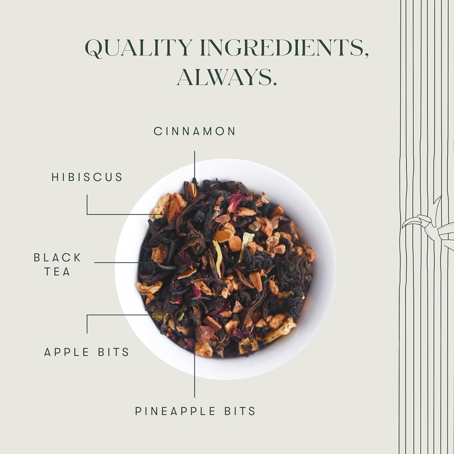 Luxmi Estates Apple Cinnamon Black Tea Bags 100gm, 3.5 Ounce - 50 Cups Bulk Pack | USDA Certified Premium Black Tea - Anti-Oxidants, Immunity Booster, High Caffeine Luxmi Estates Apple Cinnamon Black Tea Bags 100gm, 3.5 Ounce - 50 Cups Bulk Pack | USDA Certified Premium Black Tea - Anti-Oxidants, Immunity Booster, High Caffeine