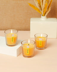 VANILLA FRAGRANCE VOTIVE GLASS CANDLES SET OF 3 | BURNING TIME 12 HOURS