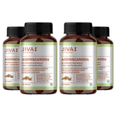 Jiva Ashwagandha Tablet 100% Ayurvedic Formulation Boosts Immunity & Energy Level, Strengthens Nervous System, Reduces Stress & Anxiety | 120 Tablets 200gm 0.4lbs Each Pack Of 4
