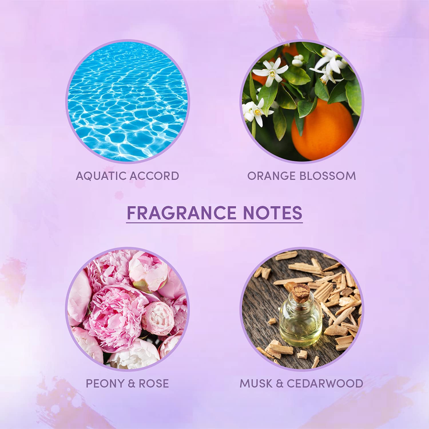 Layer'r Wottagirl Secret Crush + Spellbound + Amber Kiss Fragrant Body Splash Each 135ml 4.56 Fl.oz. | Combo Of 3 Layer'r Wottagirl Secret Crush + Spellbound + Amber Kiss Fragrant Body Splash Each 135ml 4.56 Fl.oz. | Combo Of 3