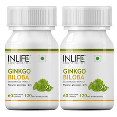 Inlife Ginkgo Biloba Extract Capsules 120mg, Herbal Supplement, Memory Support | 60 Veg Capsules 50gm 0.1lbs Each Pack Of 2