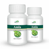 Jain Amla Powder, Vitamin C & Other Nutrients Make It A Super Food, Nourishes Scalp & Hair Roots And Encourages Hair Growth | 100gm 0.2lbs Each Pack Of 2