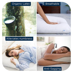 100% Natural Latex, Firm & Thick Pillows For Sleeping - 25.6 X 17.1 X 6.3 Inch | Suitable For Side & Back Sleepers | Floor Pillow, Cooling, Hypoallergenic, Breathable, Comfortable Pillows