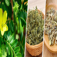 Indian Agri Farm Gokshura Powder Nerunji Mull Gokhru Chota Cinnapalleru Powder, No Added Preservatives, No Aritifical Color | 100gm 0.2lbs