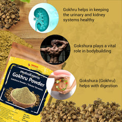 Medicoexperts Organic Gokhru Powder Gokshura For Energy Tribulus Terrestris Powder, For Wellness & Energy | 100gm 0.2lbs