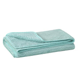 Urbanleaf Microfiber Large Bath Towel 350 Gsm | Quick Dry Super Absorbent Bath Towel For Men & Women (Light Green)