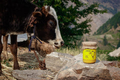 100% Pure Organic A2 Cow Ghee By Sanatan Organic | Rich Source Of Vitamin A & Protein Fiber Healthy Pure Desi Cow Ghee For Heart Health | (500ml) 16.9 Ounce | Jar Pack