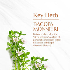 Maharishi Ayurveda Organic Brahmi Bacopa Monnieri Tablets, For Brain Health | 60 Tablets 100gm 0.2lbs Each Pack Of 2