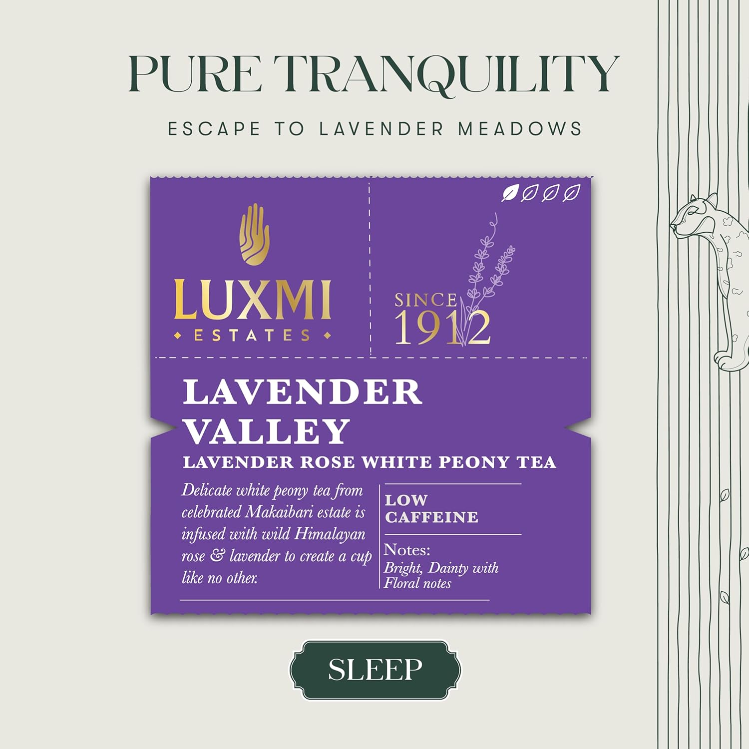 Luxmi Estates Lavender Valley Rose White Peony Tea Bags - 25gm Tin, 0.8 Ounce | USDA Certified Organic White Tea - Low Caffeine Tea For Good Sleep | Rich In Antioxidants, Gluten Free Luxmi Estates Lavender Valley Rose White Peony Tea Bags - 25gm Tin, 0.8 Ounce | USDA Certified Organic White Tea - Low Caffeine Tea For Good Sleep | Rich In Antioxidants, Gluten Free