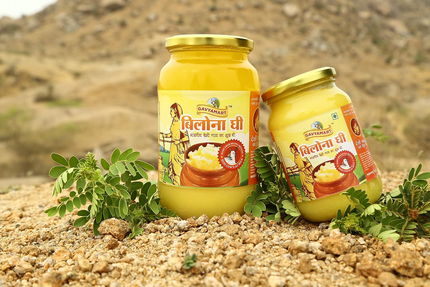 Pure Organic Bilona Ghee By Gavyamart | Rich In Healthy Fat Nutrients Desi Cow Ghee Perfect For Enhances Taste | (1 Litr ) 33.8 Ounce | Jar Pack Pure Organic Bilona Ghee By Gavyamart | Rich In Healthy Fat Nutrients Desi Cow Ghee Perfect For Enhances Taste | (1 Litr ) 33.8 Ounce | Jar Pack