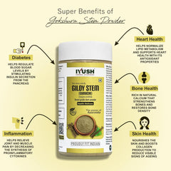 Iyush Herbal Ayurveda Giloy Stem Powder, Forest Variety Herbs, Organic, 100% Pure & Natural, No Preservatives Added | 100gm 0.2lbs Each Pack Of 2