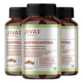 Jiva Ashwagandha Tablet 100% Ayurvedic Formulation Boosts Immunity & Energy Level, Strengthens Nervous System, Reduces Stress & Anxiety | 120 Tablets 200gm 0.4lbs Each Pack Of 3