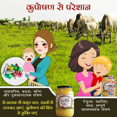 100% Natural Vedic Mathni Ghrit Desi Ghee By Gau Amritam | Pure Healthy Traditional Curd Churned Desi Cow Ghee For Brain Health | 2 Litre (1 Litre * 2) 67.6 Ounce | Jar Pack