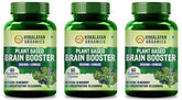 Himalayan Organics Plant Based Brain Booster Supplement With Ginkgo Biloba & Brahmi, Healthy Brain, Stress Relief, Improve Focus | 60 Veg Capsules 100gm 0.2lbs Each Pack Of 3