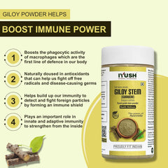 Iyush Herbal Ayurveda Giloy Stem Powder, Forest Variety Herbs, Organic, 100% Pure & Natural, No Preservatives Added | 100gm 0.2lbs Each Pack Of 2