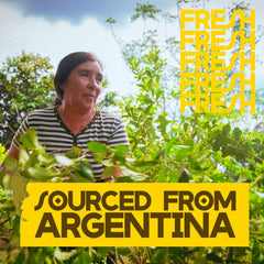 Matero Yerba Mate Traditional Herbal Tea - 1 Kg, 35.2 Ounce | 100% Organic Yerba Mate Tea - Caffeine Free Traditional Loose Leaf Tea