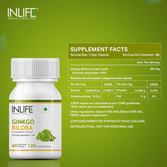 Inlife Ginkgo Biloba Extract Capsules 120mg, Herbal Supplement, Memory Support | 60 Veg Capsules 50gm 0.1lbs Each Pack Of 2