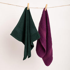 Furnofy 450 Gsm Hand Towel Set Of 2 Soft, Absorbent & Quick-Dry Towels For Gym, Home, Kitchen, Pool, Travel (Olive, Magenta)