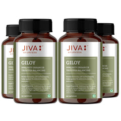 Jiva Giloy For Digestion 100% Pure & Natural Ageing & Immunity Boost, Herbal Supplements, Rich In Antioxidants, Natural Immunity - Booster Herb | 60 Capsules 100gm 0.2lbs Each Pack Of 4