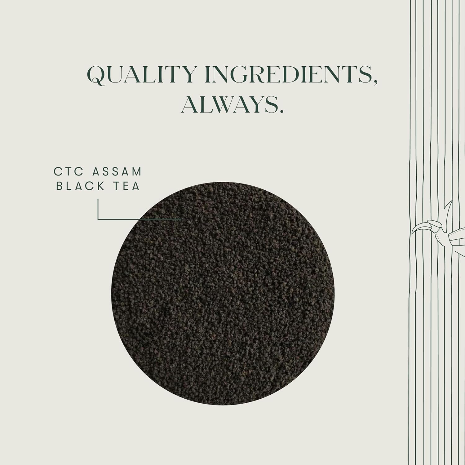 Luxmi Estates Blue Hills Black Tea - 100gm, 3.5 Ounce, 50 Cups | Premium CTC Blended Tea With Leaf - Strong Assam Flavor | Additives Free, High Caffeine Black Tea Luxmi Estates Blue Hills Black Tea - 100gm, 3.5 Ounce, 50 Cups | Premium CTC Blended Tea With Leaf - Strong Assam Flavor | Additives Free, High Caffeine Black Tea