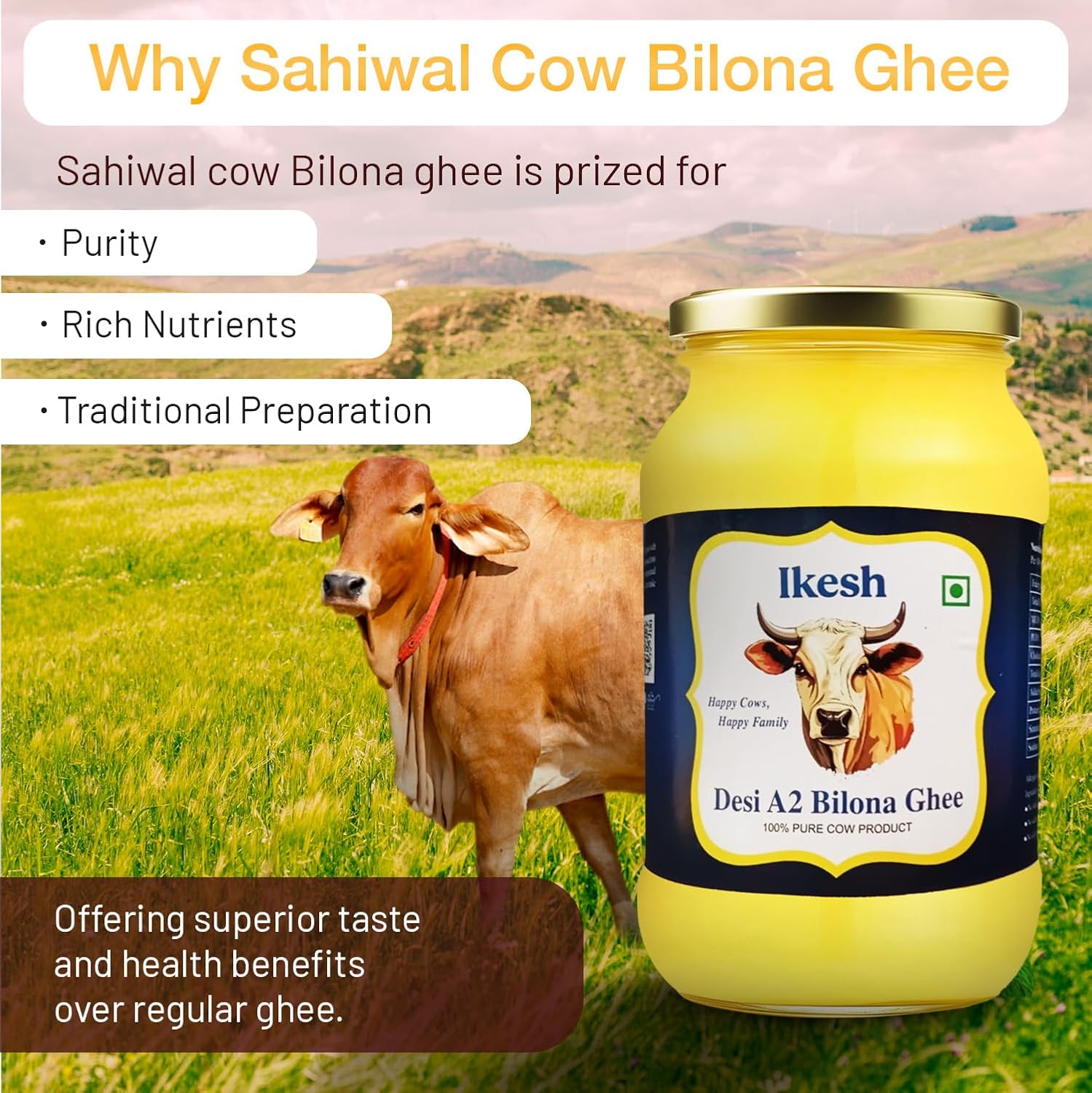 Natural A2 Bilona Cow Desi Ghee By Ikesh | High In Protein Fiber Healthy Desi Bilona Method Ghee Perfect For Baking & Frying | 2 Litre (1 Litre * 2) 67.6 Ounce | Jar Pack Natural A2 Bilona Cow Desi Ghee By Ikesh | High In Protein Fiber Healthy Desi Bilona Method Ghee Perfect For Baking & Frying | 2 Litre (1 Litre * 2) 67.6 Ounce | Jar Pack