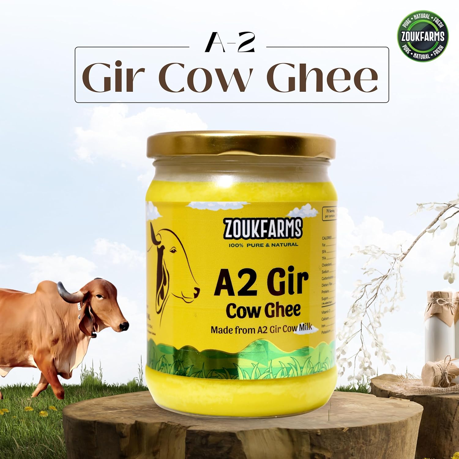 Premium A2 Gir Cow Ghee By Zoukfarms | Made By Churning Curd Vedic Bilona Method Desi Danedar Ghee Perfect For Laddus & Parathas | (500ml) 16.9 Ounce | Jar Pack Premium A2 Gir Cow Ghee By Zoukfarms | Made By Churning Curd Vedic Bilona Method Desi Danedar Ghee Perfect For Laddus & Parathas | (500ml) 16.9 Ounce | Jar Pack
