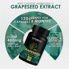 Ambrosial Grape Seed Extract Capsules 95% Opcs Polyphenols High Strength Grape Seed Supplement Strong Antioxidant | 120 Vegan Capsules 150gm 0.3lbs